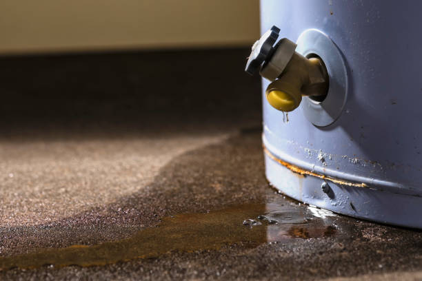 Best Flood damage cleanup  in Rden City, GA