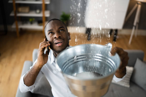 Best Professional water damage repair  in Rden City, GA