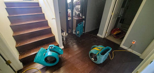 Best 24-hour water damage restoration  in Rden City, GA