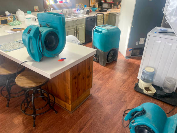 Best Water damage cleanup near me  in Rden City, GA