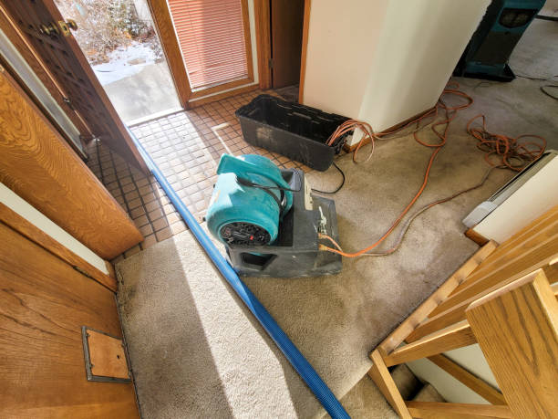 Best Water damage cleanup near me  in Rden City, GA