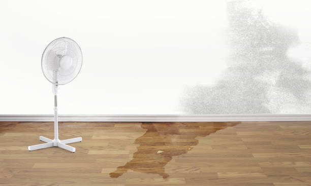 Best 24/7 water damage repair  in Rden City, GA