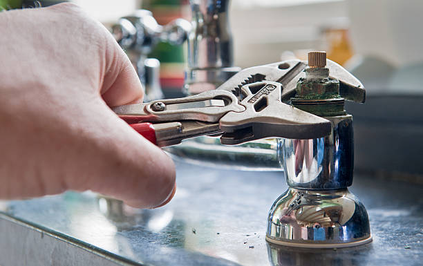 Best Mold removal after water damage  in Rden City, GA