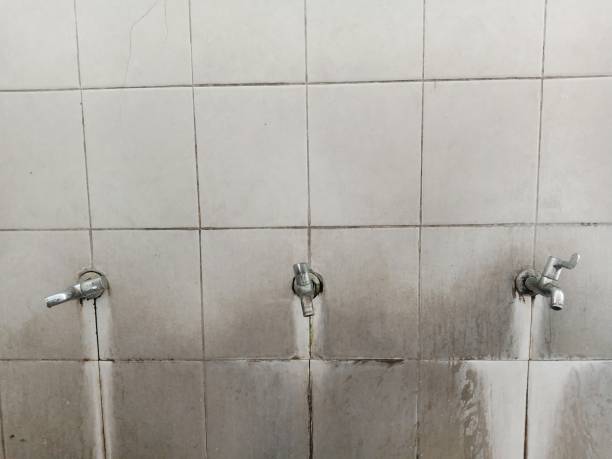 Best Flood restoration services  in Rden City, GA