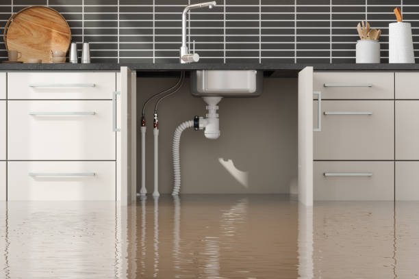 Best Fire Damage Restoration  in Rden City, GA