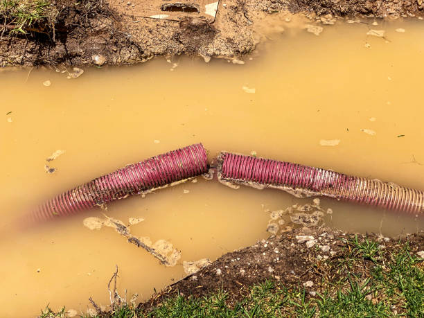  Rden City, GA Water damage restoration Pros