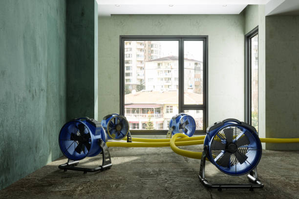 Carpet water damage restoration in Garden City, GA